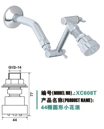 Brass shower head